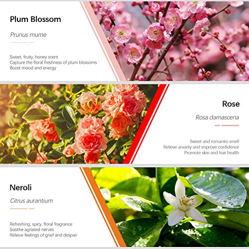 Floral Essential Oils, Esslux Pure Aromatherapy Diffuser Oils Set, Rose, Neroli, Geranium, Freesia, Plum Blossom, Dark Tea Essential Oils, Ideal for Diffuser, Massage, Home Fragrance