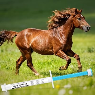 Equine Paste 1.87% 2 Pack (6.08g Each) Apple Flavored Oral for Horses