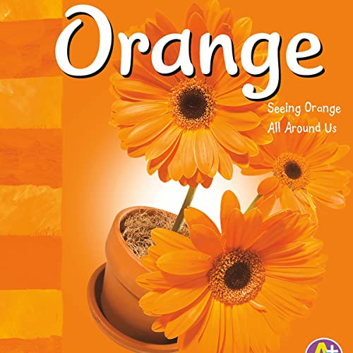 Orange by Sarah L. Schuette episode artwork