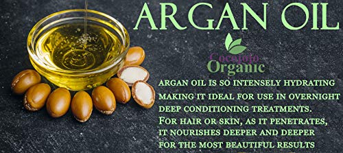 Argan Nut Oil Deodorized 32 Oz 100% Pure Natural Moroccan Argon Nut Oil Unrefined Unscented Cold Pressed Extra Virgin - Therapeutic Grade A For Hair Skin Body Nail And Beard - Marrakesh Oil #TOP5