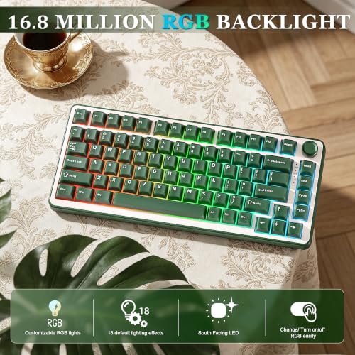 Image of YUNZII B75 PRO Wireless Mechanical Keyboard,75% Layout with Knob,Hot Swap Gasket Structure,Creamy Pre-lubed Switches,RGB Backlit,Bluetooth /Type-C /2.4G for Win /Mac (Olive Green, Cocoa Cream V2 Switch)