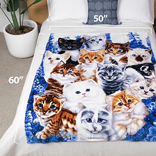 Dawhud Direct Collage Kitten Fleece Blanket For Bed, 50" X 60" Cute Fleece Throw Blanket For Girls, Women, Men And Kids - Super Soft Plush Cat Blankets For Cat Lovers Kitty Cats Print Throws Blankets #TOP3