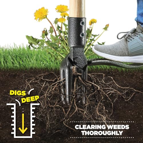 Wilfiks 6170 Weed Puller Tool, Stand Up Heavy Duty Weed Remover Tool thumb #2