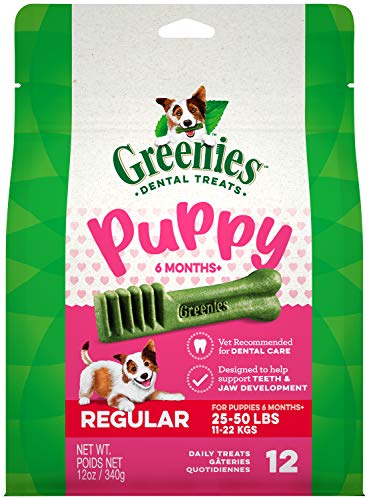 GREENIES Puppy 6+ Months Regular Natural Dog Dental Care Chews Oral Health Dog Treats, 12 oz. Pack (12 Treats)