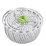 Puede vapor lotes de alimentos, tales como huevos, verduras, bollos al vapor, albóndigas y pan, etc.