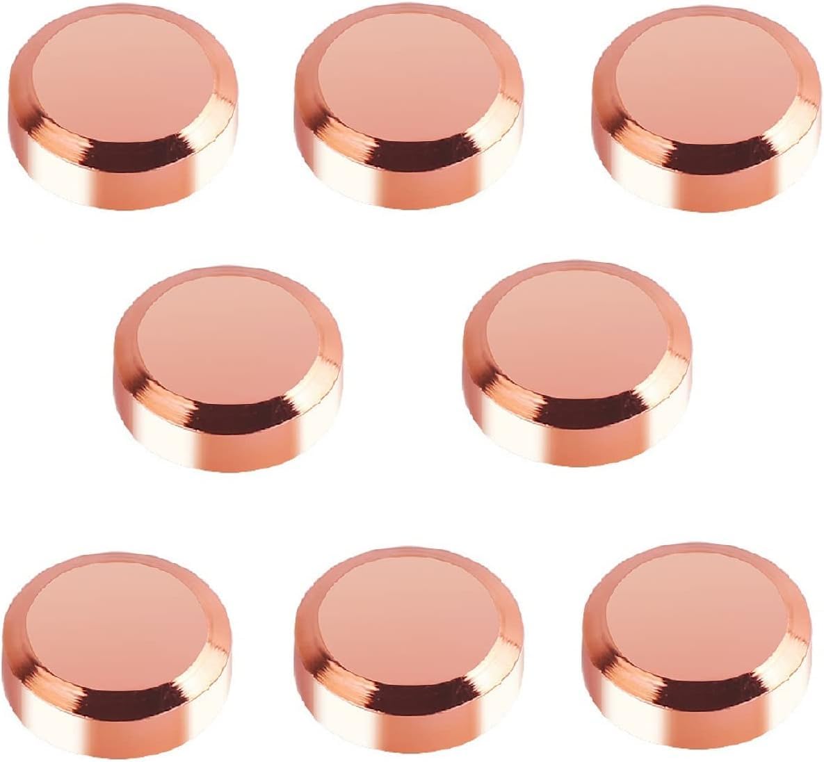 LEPEVNEY 8PCS Mirror Screws Pure Copper Cap Decorative Mirror Nails 25mm Diameter Decorative Sign Nails for Advertising Hardware