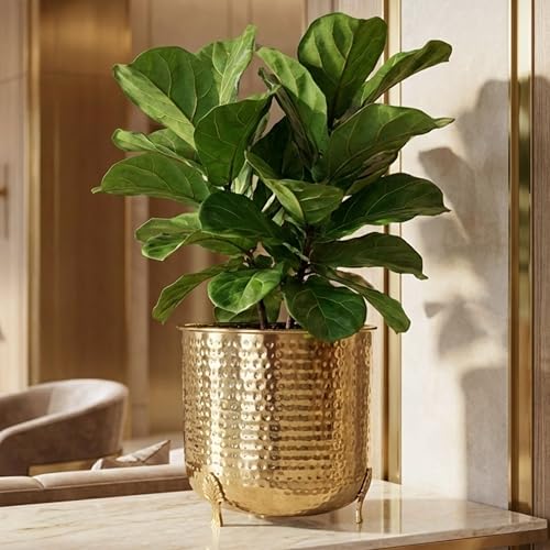 Image of BEHOMA Hammered Gold Metal Planter 7 inch Tabletop Plant Pot | Pot for Indoor Outdoor Balcony Living Room | Table Plant Pot with Leaf Leg for Gifting