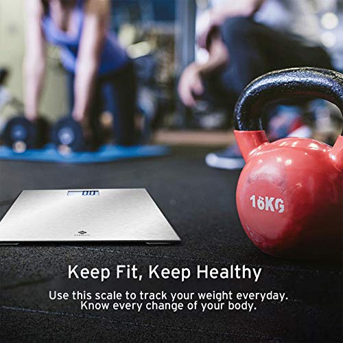 Image of Etekcity Stainless Steel Digital Body Weight Bathroom Scale Step-On Technology Large Blue LCD Backlight Display, 400 Pounds, Grey, 12x12 Inch (Pack of 5)