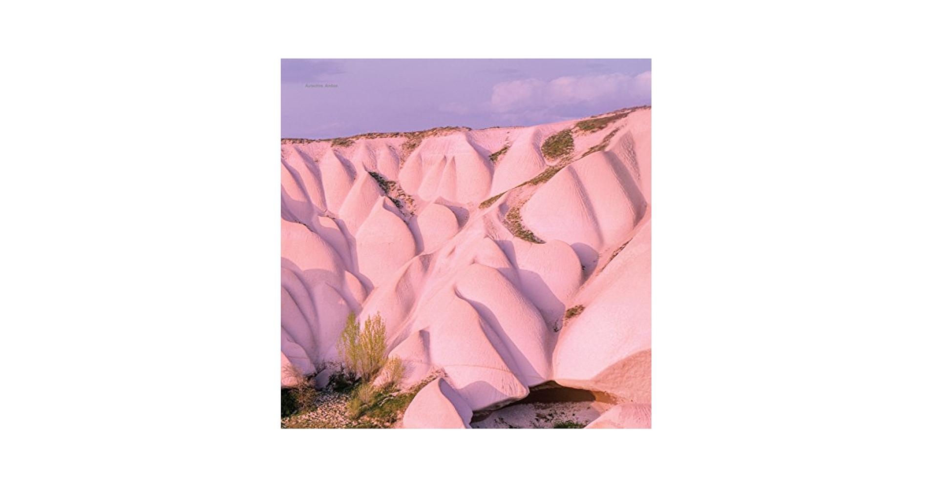 Amazon.com: Amber: CDs & Vinyl