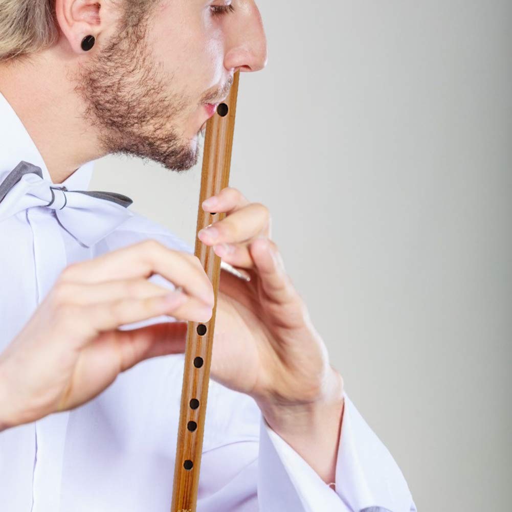 flauta de bambú, Instrumento musical tradicional chino CDEFG Flauta de bambú Piccolo for principiantes Musical(D)