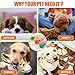 GmwyCzV 3 Stück Hundespielzeug,5cm Hundespielzeug Ball mit Seil Naturkautschuk Ball,Interaktives Hundeball Spielzeug,Kauspielzeug für kleine mittlere große Hunde für Zahnpflege (Blau Orange Grün)
