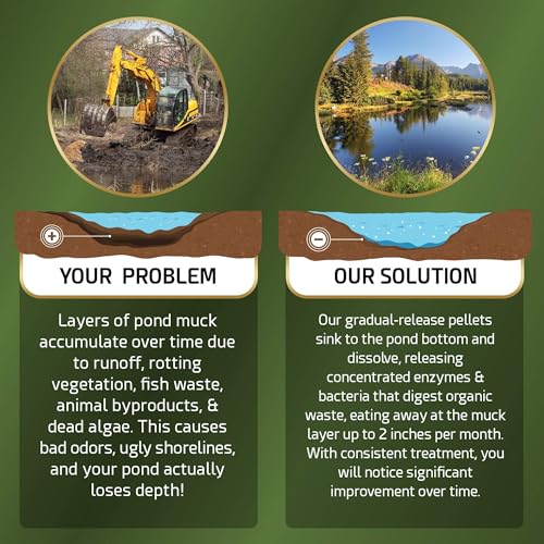 Pond-Sludge-Remover–5-Pounds-Beneficial-Pond-Bacteria-Enzyme-Treatment-100-Natural-Muck-Digester–Safe-for-All-Aquatic-Life-and-Recreation-Made-in-The-USA Pond Sludge Remover–5 Pounds Beneficial Pond Bacteria Enzyme Treatment 100 Natural Muck Digester–Safe for All Aquatic Life and Recreation Made in The USA