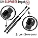 Qty (2) 10mm Steel End Lift Supports 32" extended 200lbs Pressure