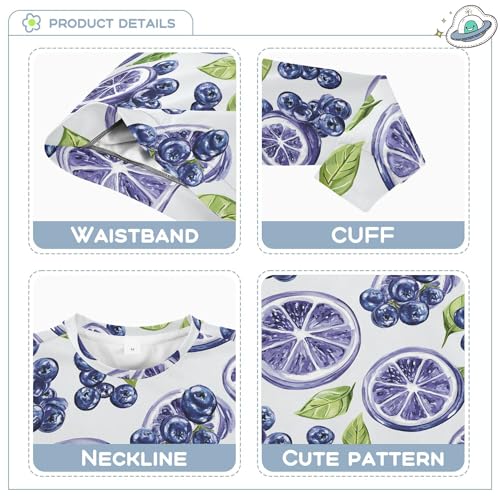 JUNZAN Art Bilberry Fruit Silver Big Girls Sweatshirt Hoodie Crewneck Fall Tops Shirts Athletic 4T3