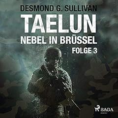 Couverture de Nebel in Br&uuml;ssel