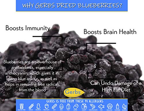 Gerbs Dried Blueberries 2 Lbs. | Freshly Dehydrated Re-Sealable Bulk Bag | Top 14 Food Allergy Free | Sulfur Dioxide Free Blue Berries | Brain & Immune System Booster | Gluten, Peanut, Tree Nut Free #TOP1