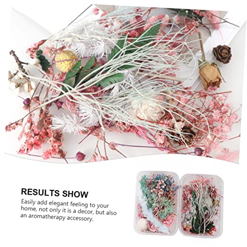 IMIKEYA 4 Caixas Flores secas de aromaterapia flores fazendo sabão jóias a granel prego pressionado
