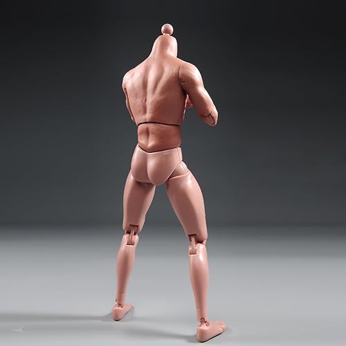 Miniatura 5 de Cuerpo masculino de escala 16, figura desnuda muscular flexible de 12 pulgadas, modelo de cabeza esculpida para colección de juguetes calientes