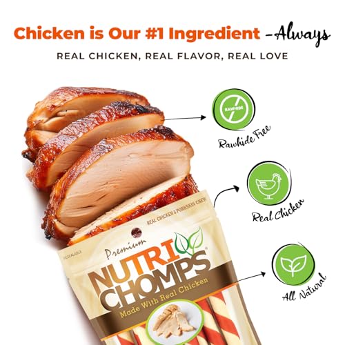NutriChomps-5-inch-TwistsRawhide-Free-Dog-Treats-Easy-to-Digest-Healthy-10-Count-Real-Chicken-flavor NutriChomps 5 inch TwistsRawhide Free Dog Treats Easy to Digest Healthy 10 Count Real Chicken flavor