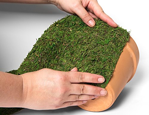 SuperMoss (22401) Instantgreen Moss Mat, Peel N Stick, 18 x 48in, Fresh green by SuperMoss - Image 2