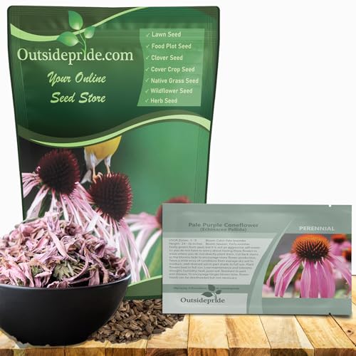 Outsidepride Pale Purple Echinacea Coneflower Seeds - 1000 Pcs Perennial, Drought-Tolerant, Deer Resistant Flower Seeds for Planting, Ideal Nectar Source for Pollinator-Friendly Gardens & Landscapes