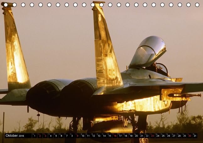 Kampfjets • U.S. Aircraft (Tischkalender 2016 DIN A5 quer): Die moderne Luftwaffe der USA (Monatskalender, 14 Seiten) (CALVENDO Technologie)