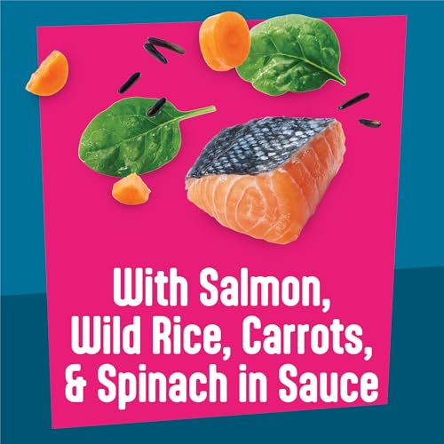 Friskies Purina Fully Load'd Wet Cat Food, Salmon, 24 Count, 5.5 oz - image 4
