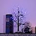 Vanthylit Halloween Tree, 2FT Spooky Black Tree Battery Operated with 24 Purple Lights and 8 Bats, Halloween Decorations Indoor Lighted Table Centerpiece with Timer for Mantel Office Haliday Decor