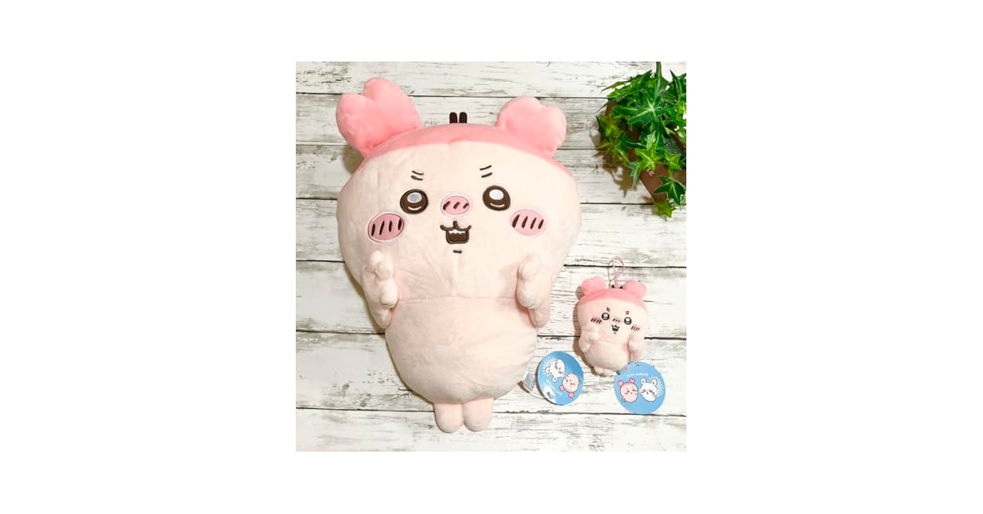 Amazon.co.jp: ちかわ 古本屋 カニちゃん BIGぬいぐるみ