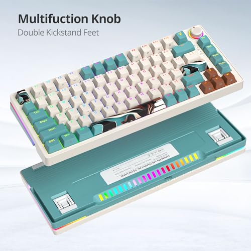 Teclado Gamer 75% Brown iRoboosta USB-C miniatura 6