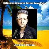 Arte Global