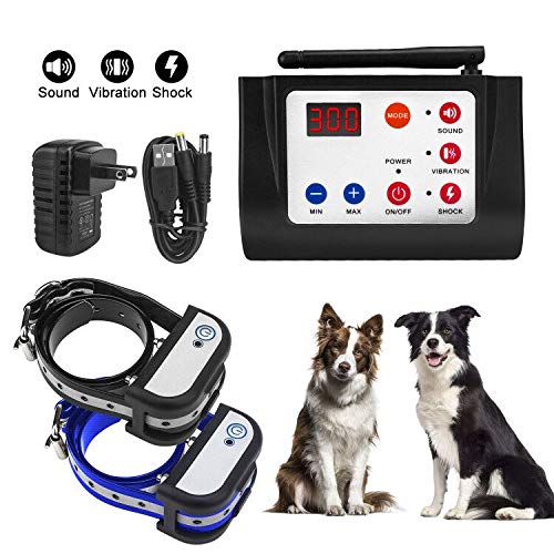Top 40 Best Wireless Dog Fence in 2020 Detailed Reviews!