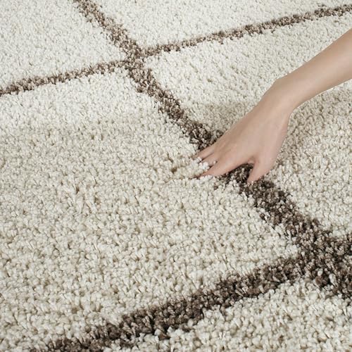 Image of SS Malik Handloom Soft Shaggy Rugs Fluffy Home Decorative Large Carpet for Living Room 2-inch Thick Carpet (2x3 Feet, Ivory Box)