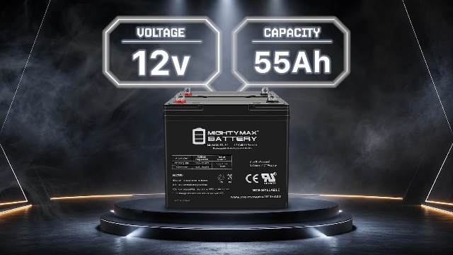 Amazon.com: Mighty Max Battery ML55-12 - 12V 55AH SLA Battery