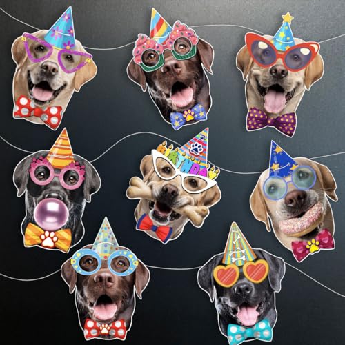 Image of Labrador Dog Birthday Garland, Photographic Labrador Retriever Faces Birthday Banner, Funny Labrador Dog Bday Party Bunting Decoration