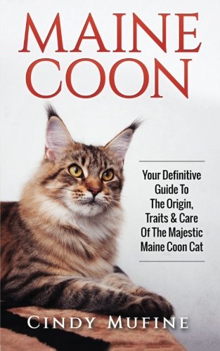 Maine Coon: Your Definitive Guide to The Origin, Traits & Care Of The Majestic Maine Coon Cat