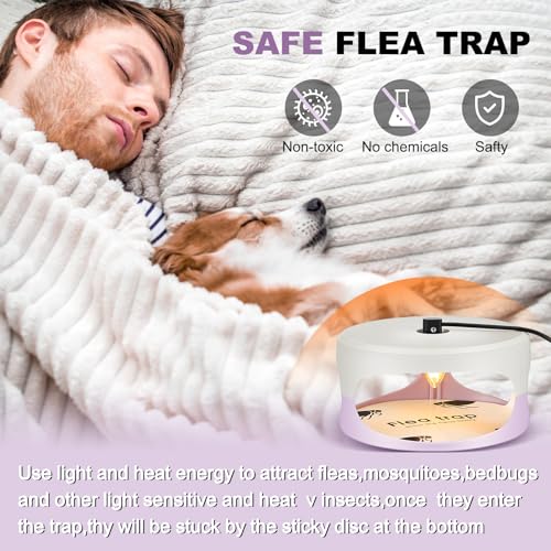 Image of 4 Packs Flea Traps for Inside Your Home, White, Purple | Includes 8 Sticky Pads, 12 Bulbs, 4 Electric Wires, Flea Killer Indoor Bed Bug Light Trap, for Home Indoor Safe to Pets