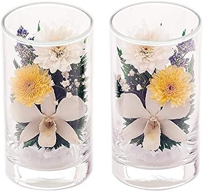 Amazon 仏花 プリザーブドフラワー グラスフラワー Hanagonomi ハナゴノミ Ap31 密閉グラス入り プリザーブドフラワー オンライン通販 Amazon 仏花 プリザーブドフラワー グラスフラワー Hanagonomi ハナゴノミ Ap31 密閉グラス入り プリザーブドフラワー オンライン通販