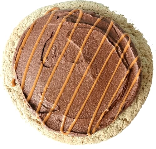 Faux Chocolate Frosted Sugar Cookie with Caramel Drizzle Fake Food