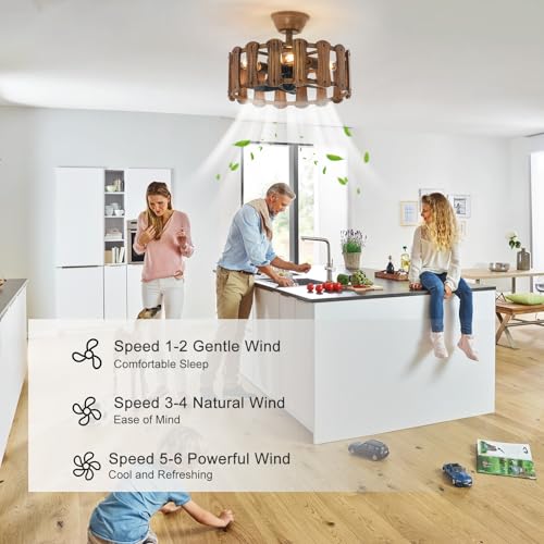 Image of Garwarm 18 inch Caged Ceiling Fan with Light & Remote,Small Farmhouse Fandelier