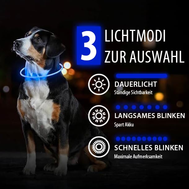 PetSol LED-Hundehalsband in Blau – wiederaufladbares USB-Sicherheitshalsband mit blinkendem Licht für Hunde, Katzen und Welpen – Größe S, M und L – modisches, im Dunkeln leuchtendes Design