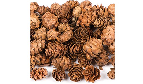 Pigne piccole decorative naturali sacchetto 250 gr...