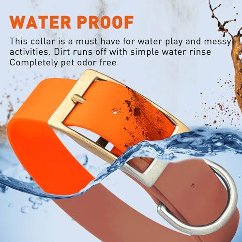 Image of Viper Biothane Heavy Duty Waterproof Dog Collar Strong Coated Nylon Webbing w /Solid Brass Hardware Odor-Proof Easy to Clean High Performance Fits Small Medium or Large Dogs, Hunter Orange