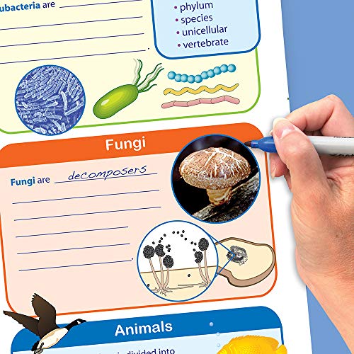 Image of NewPath Learning STAAR Grade 8 Organisms & Environment Curriculum Mastery Flip Charts