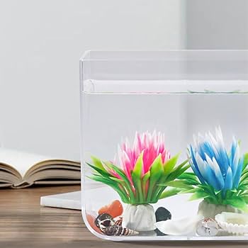 邦楽 Think Tank EAT ONE 12inch Small Fish Tank with Light