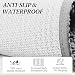 VIVAGLORY Schmutzfangmatte Hund Absorpmax Cleany Mat Hund, Hundeteppich Schmutzmatte Fußmatte, Waschbar Wasserdicht rutschfest Schlammige Saugfähige Chenille Fußmatte, 80cm × 50cm, Grau