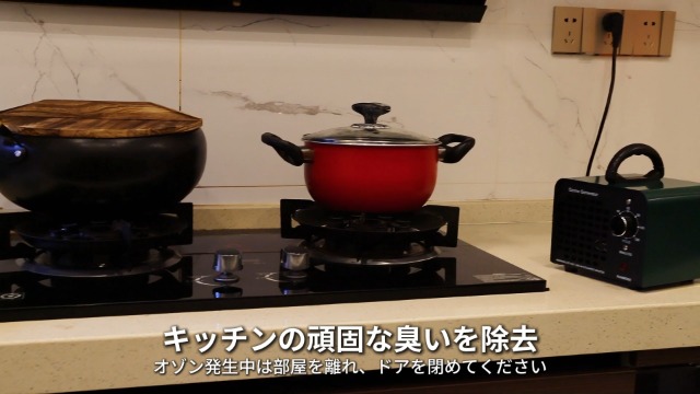 Amazon | オゾン発生器 【PSE認証済】30000mg/h 業務用オゾン脱臭機