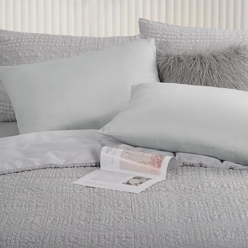 RUIKASI Federe Cuscini Letto 50x80 - Coppia di Federe Cuscini Letto Matrimoniale Microfibra 50 x 80 cm, Chiusura a Busta, Grigio Chiaro