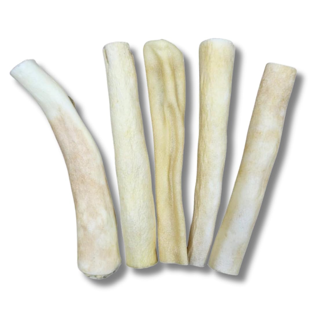 Pawsome Snax Beef Tails Dog Treats - PACK SIZE: 5-100% Natural Chew for Dogs - High Protein, Grain-Free - Healthy Dental Snack