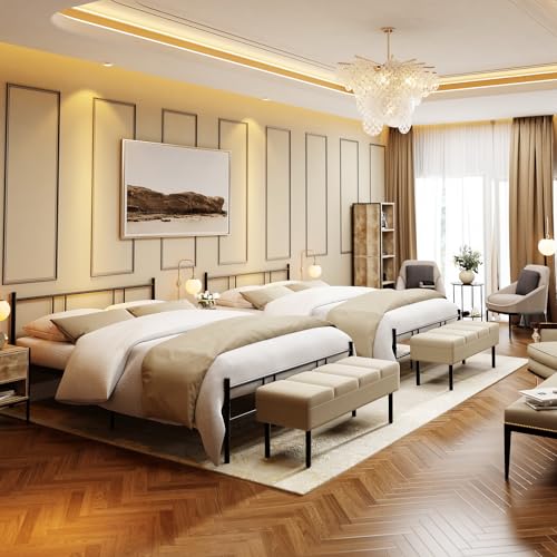 Queen Size, Home Imagen adicional
